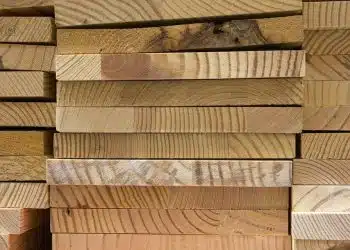 Choisir une entreprise certifiée CTB-A+ pour lutter contre les termites dans le bois d'un bâtiment