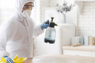 Nuisibles à domicile en Drôme et Ardèche : quand faut-il appeler un professionnel ?